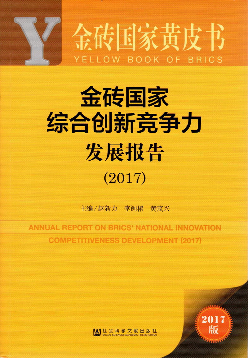 男女艹插艹逼扣穴舔鸡巴艹金砖国家综合创新竞争力发展报告（2017）